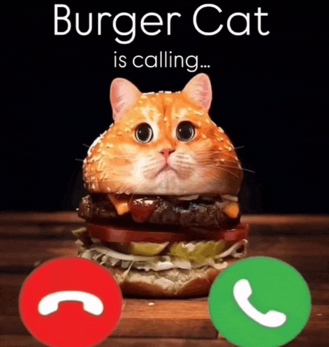 a cat that looks like a hamburger is talking on a cell phone