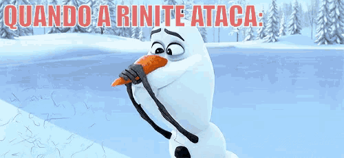 a snowman is holding a carrot in his mouth with the words quando a rinite ataca written above him