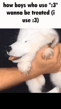 a person is holding a white puppy in their arms with the caption how boys who use " 3 " wanna be treated