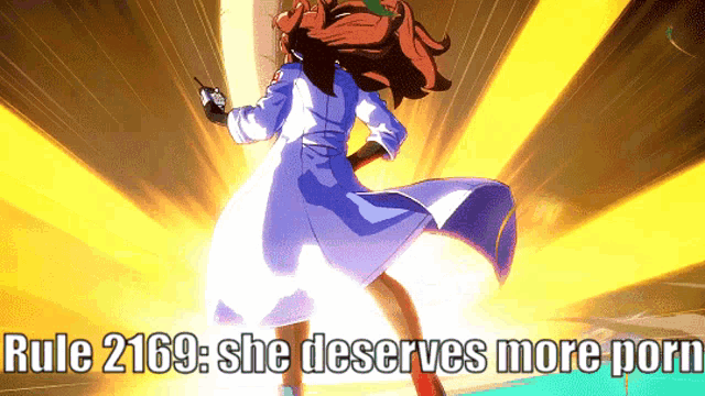 rule 2169 : she deserves more porn is displayed on a screen