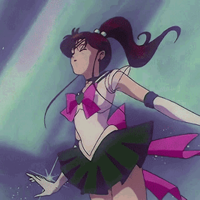 Sailor Jupiter Sailor Moon GIF