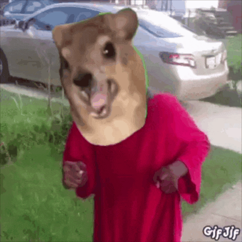a person wearing a red shirt with a hamster head on their head
