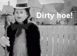 Hoe Dirty GIF - Hoe Dirty Cat GIFs