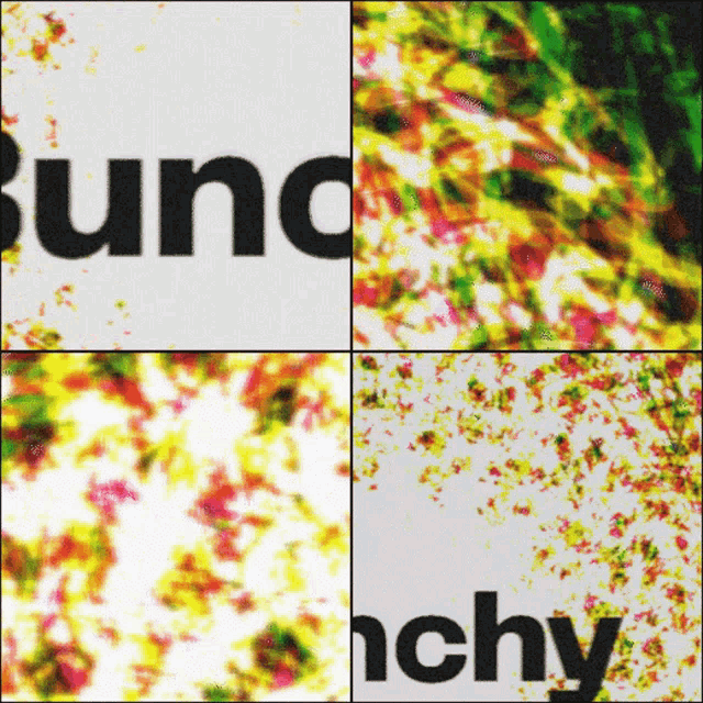 Bunchy Protocol GIF - Bunchy Protocol Abstract GIFs