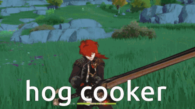 a video game character is holding a sword and the words hog cooker are above him .