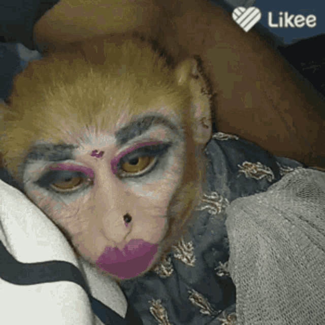 Rakeitoop Monkey Makeup Monki GIF - Rakeitoop Monkey Makeup Monki GIFs