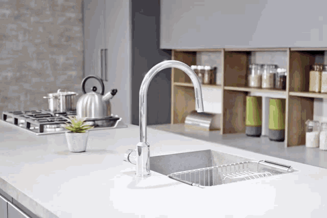 a kitchen with a sink and a stove top