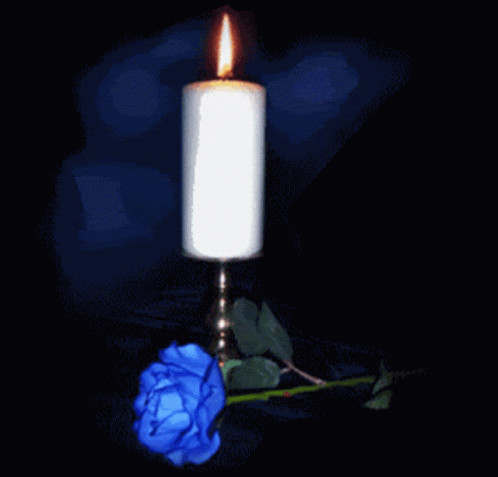 Candle Blue Rose GIF - Candle Blue Rose Rose GIFs