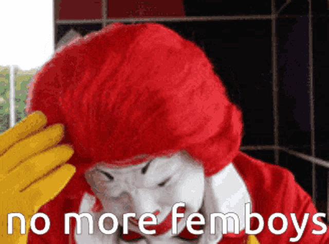 a picture of mcdonald 's clown with the words no more femboys