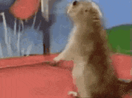 a hamster is standing on its hind legs in front of a balloon .