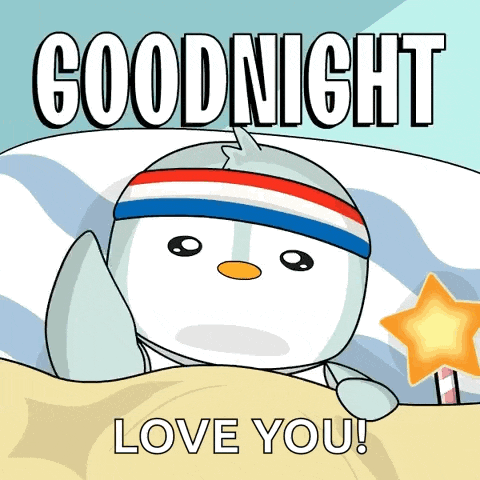 a penguin laying in bed with a star and the words goodnight love you