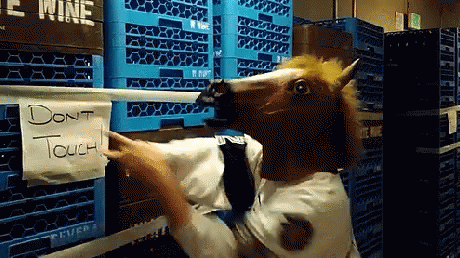 Crazy Person Dont Touch GIF - Crazy Person Dont Touch Horse Face GIFs