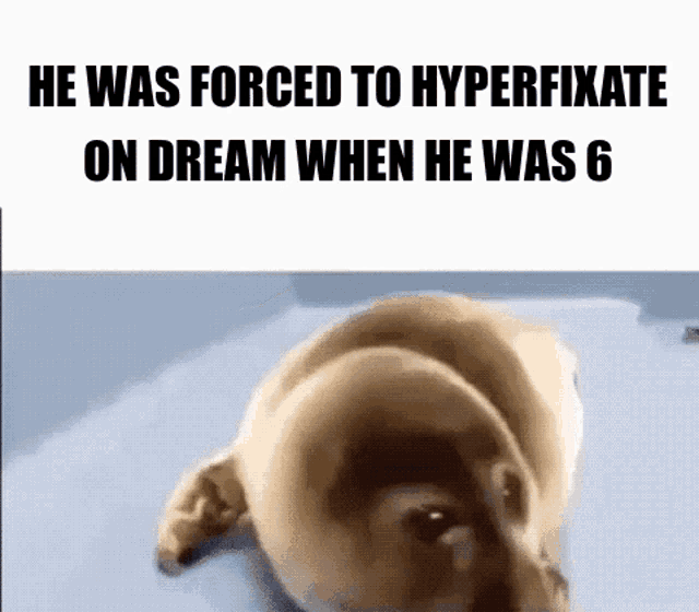 Dream Dreamwastaken GIF - Dream Dreamwastaken Dream Smp GIFs