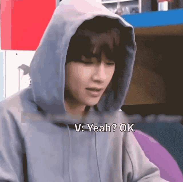 a person wearing a hooded sweatshirt says v: yeah ok