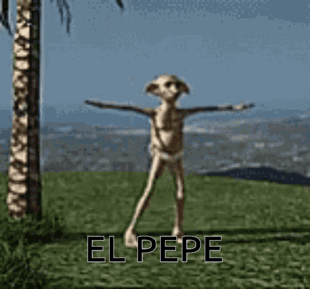 Elpepe GIF - Elpepe GIFs