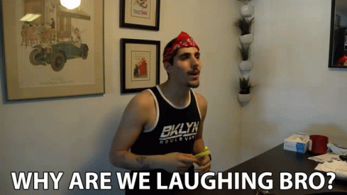 Why Are We Laughing Bro Rudy Ayoub GIF