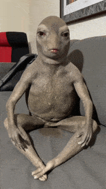 a statue of a frog is sitting on a grey couch