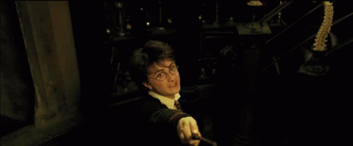 Scrotum Pinned GIF - Scrotum Pinned Harry Potter GIFs