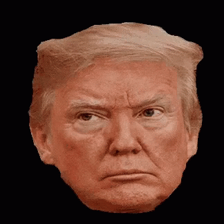 Trump Maga GIF - Trump Maga Impeach GIFs