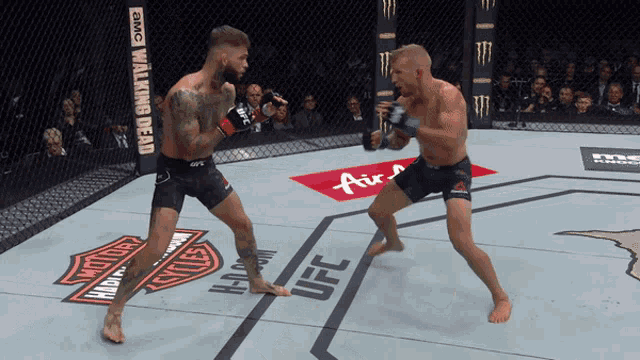 two men are fighting in a boxing ring with a harley davidson logo on the floor