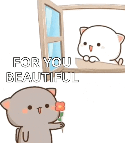 a cartoon cat is holding a flower in front of a window and says `` for you beautiful '' .