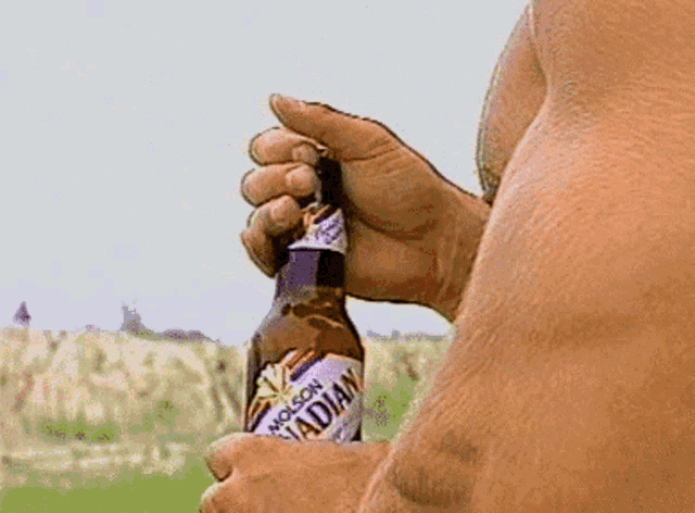 Beer Alcohol GIF - Beer Alcohol Thirsty GIFs