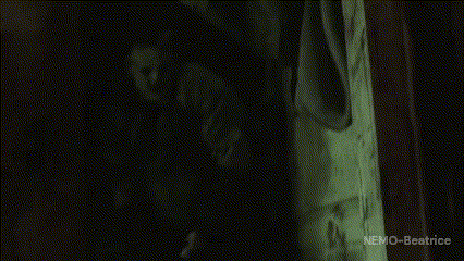 a person is standing in a dark room with the words nemo beatrice written on the bottom