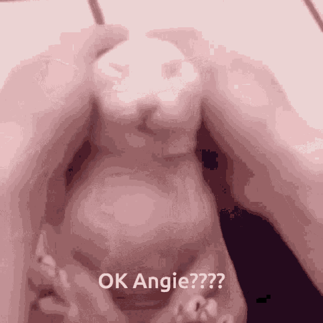 Angie Cat GIF