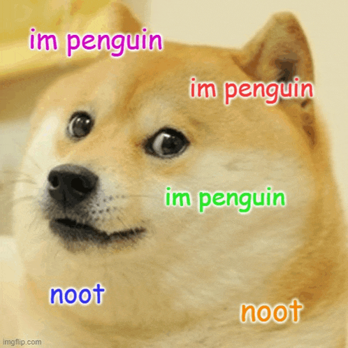 a picture of a dog with the words im penguin im penguin noot and noot surrounding it