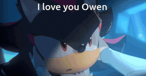 shadow the hedgehog says " i love you owen " in a blue background