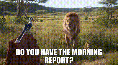 The Lion King Mufasa GIF - The Lion King Mufasa Do You Have The Morning Report GIFs