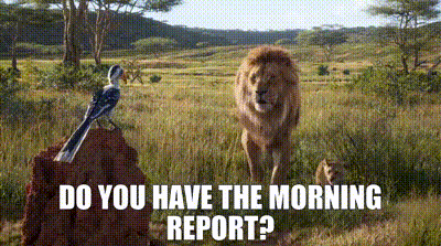 a lion and a bird are standing in a field with the words `` do you have the morning report '' .