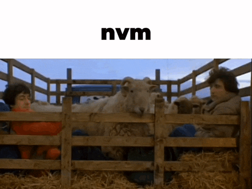 a sheep behind a wooden fence with the word nvm on the bottom