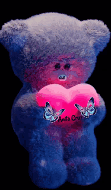 a teddy bear holding a pink heart with butterflies and the name anita cruz