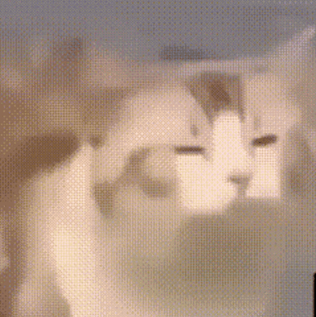 a close up of a cat 's face with a blurred background of dots