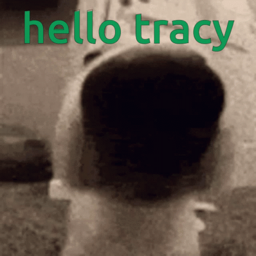 Hi Hello GIF - Hi Hello Tracy GIFs