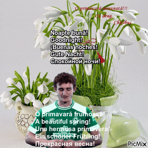 a man in a green shirt stands in front of a potted plant with flowers
