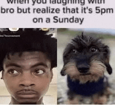 a man and a dog are laughing with bro but realize that it 's 5pm on a sunday .