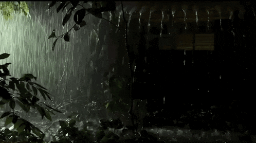 it is raining in the dark and trees are visible in the foreground and background .