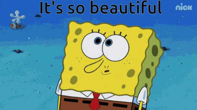 a cartoon of spongebob with the words " it 's so beautiful " above him