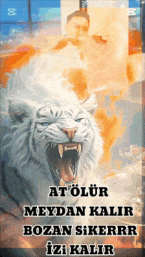 a poster of a white tiger with the name at olur on it