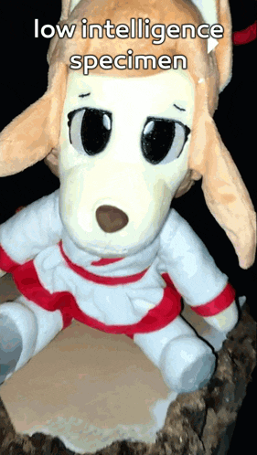 a stuffed animal with low intelligence specimen written on it