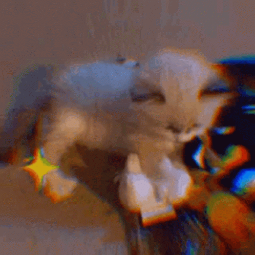 Cat Sparkle GIF - Cat Sparkle GIFs