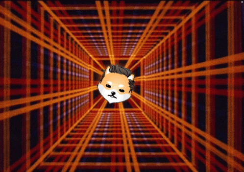 a doge head is in the middle of a maze of lines