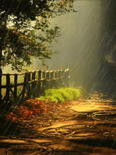 Rainy Night Raining GIF - Rainy Night Raining Weather GIFs