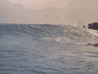 Jacquie Surf GIF - Jacquie Surf GIFs