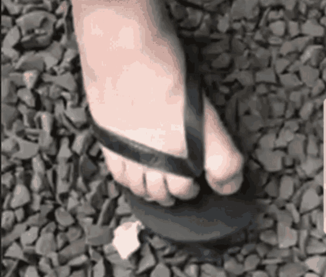 Foot Suck My Toe GIF - Foot Suck My Toe Fuck You GIFs