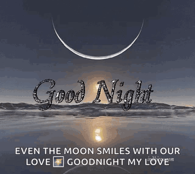the moon smiles with our love goodnight my love