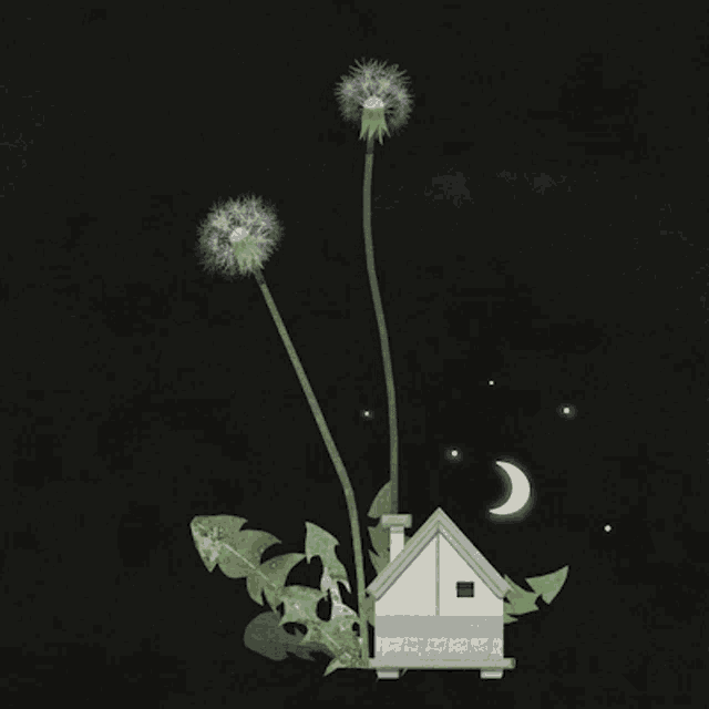 a house made out of dandelions and a crescent moon