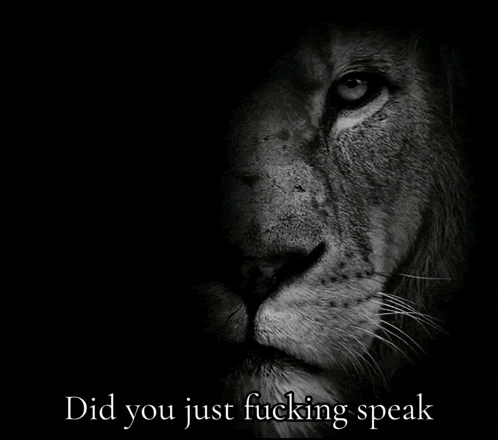 a black and white photo of a lion with the words did you just fucking speak